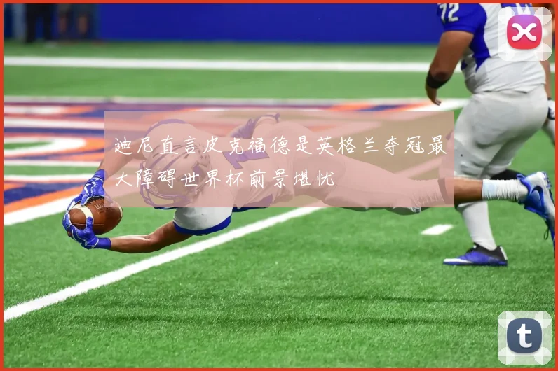 迪尼直言皮克福德是英格兰夺冠最大障碍世界杯前景堪忧
