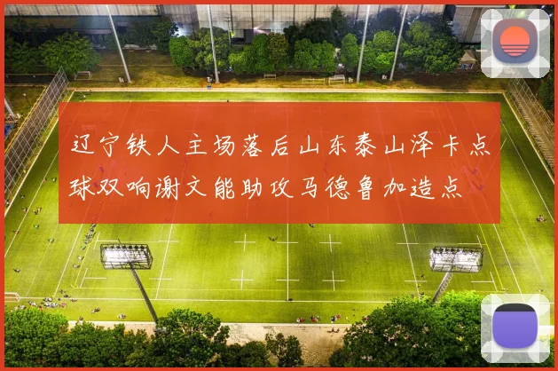 辽宁铁人主场落后山东泰山泽卡点球双响谢文能助攻马德鲁加造点